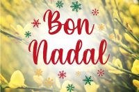 Festival Nadal 2021
